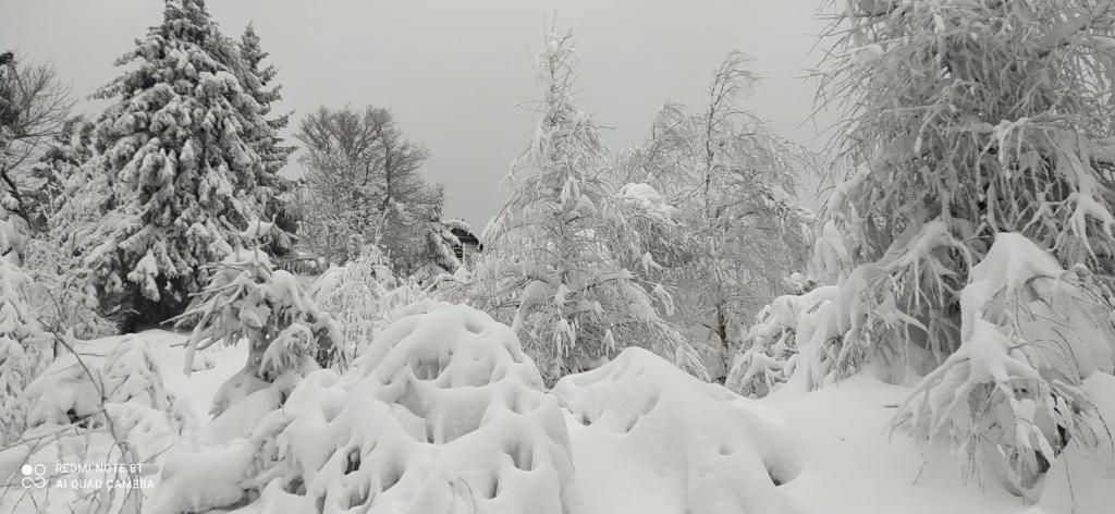 Na Małej