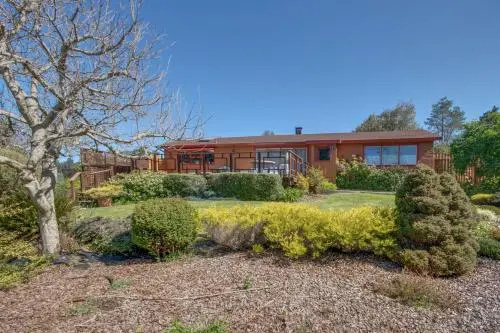 Mendocino Dream