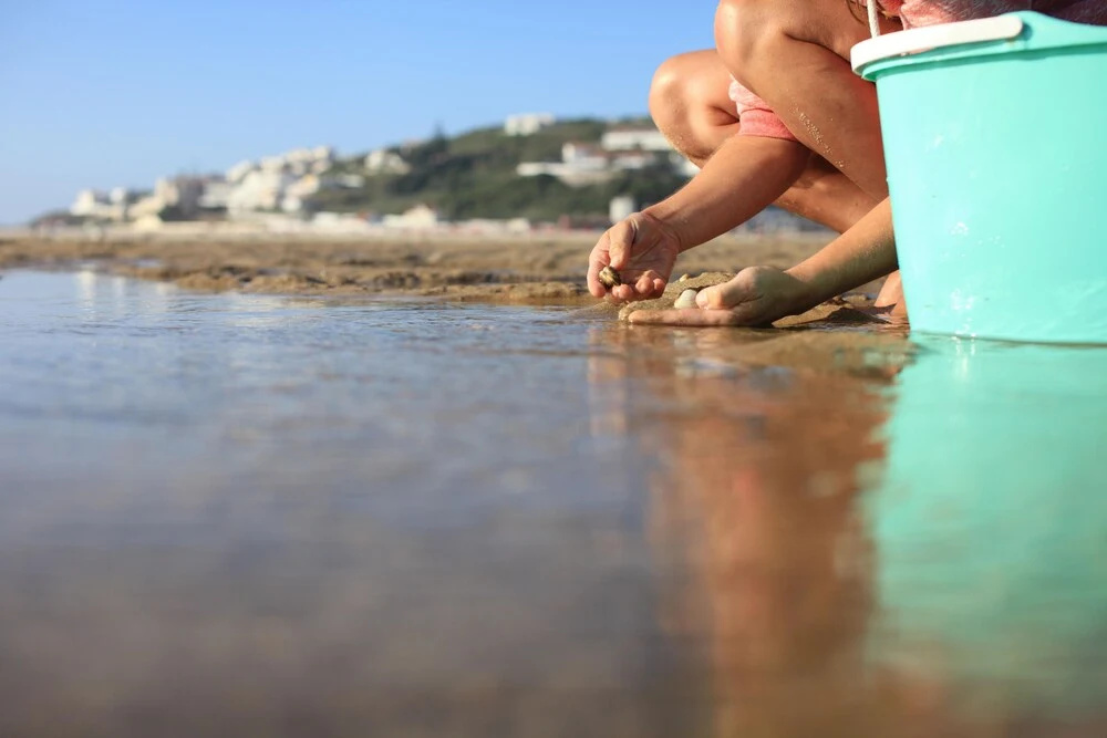 Silver Coast Holidays