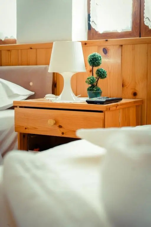 Hotel Domino