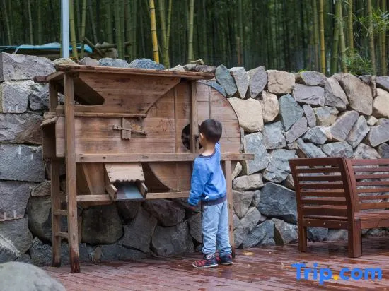 Hangzhou lin an Sees ResiAgain