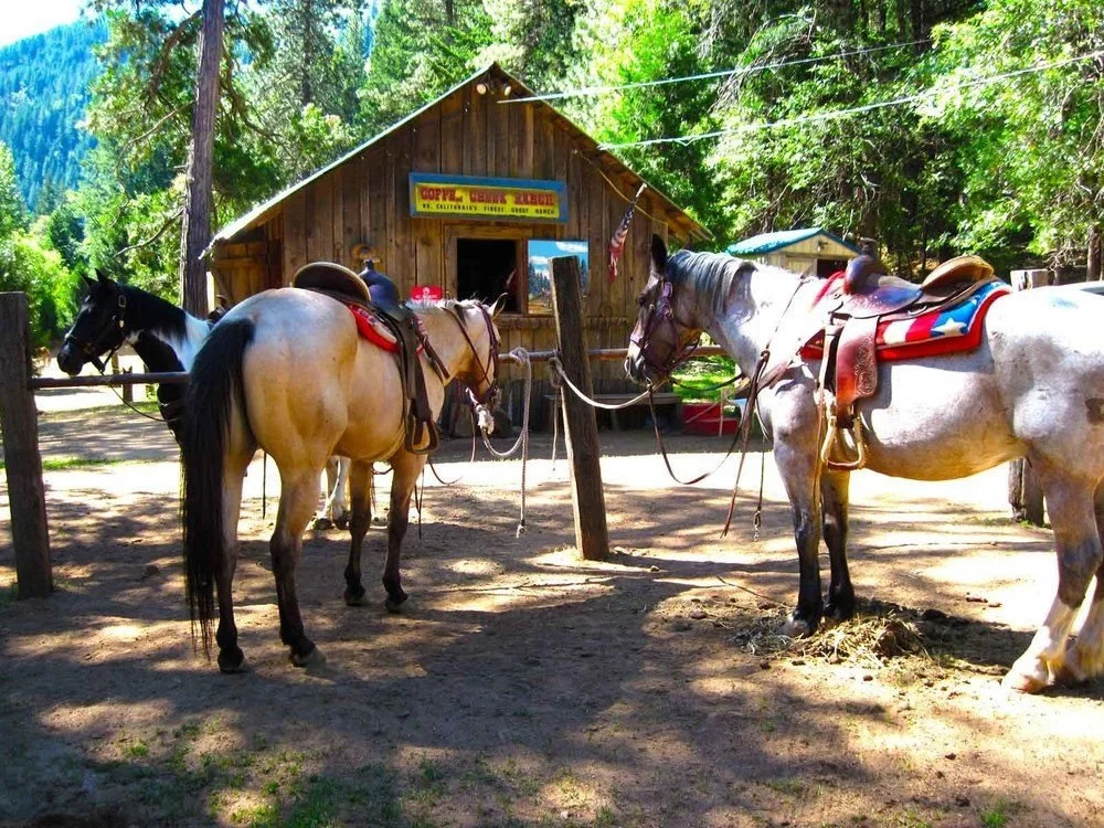 Coffee Creek Ranch