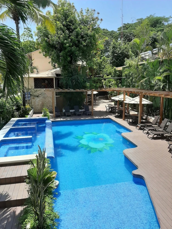 Maya Tulipanes Express