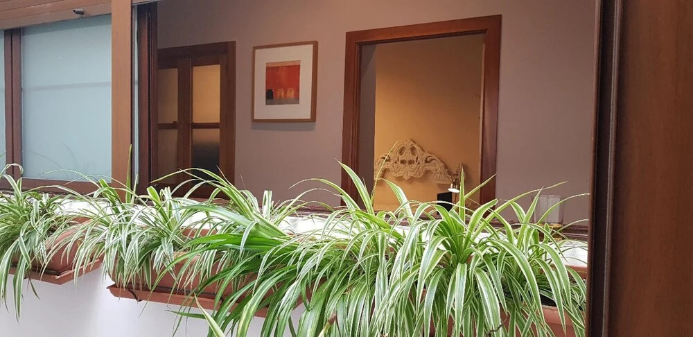 Apartment With 2 Bedrooms in Jerez de la Frontera, With Wonderful City View, Furnished Terrace and Wifi Near the Beach