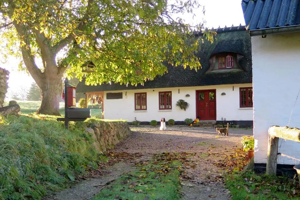 Myrholm