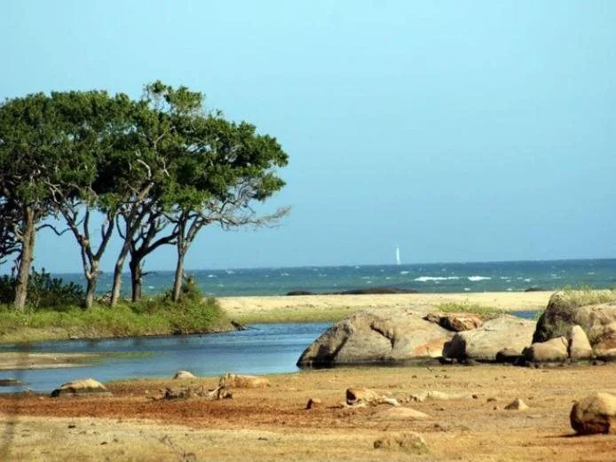 Vanaro Eco Lodge