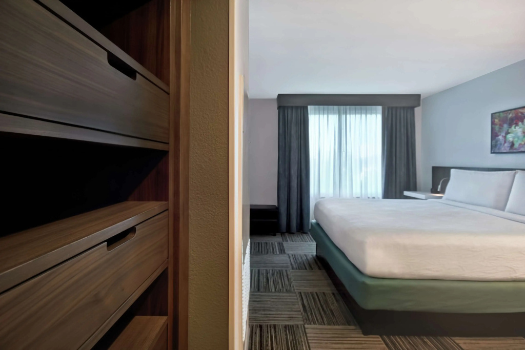 Hilton Garden Inn Houston/Galleria Area