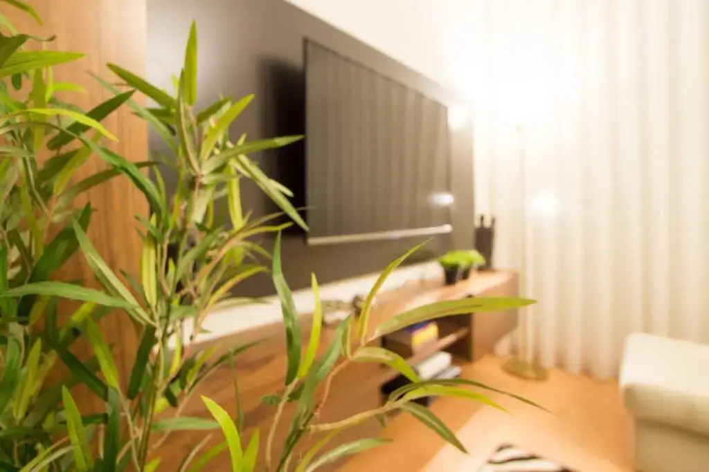 Modern Apartment in Coimbra City Center