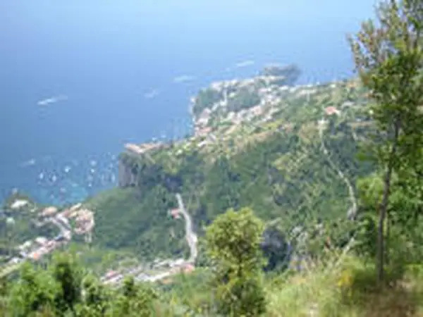 vecchio west