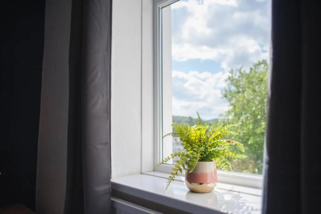 Newport house sleeps 9 - Mycityhaven