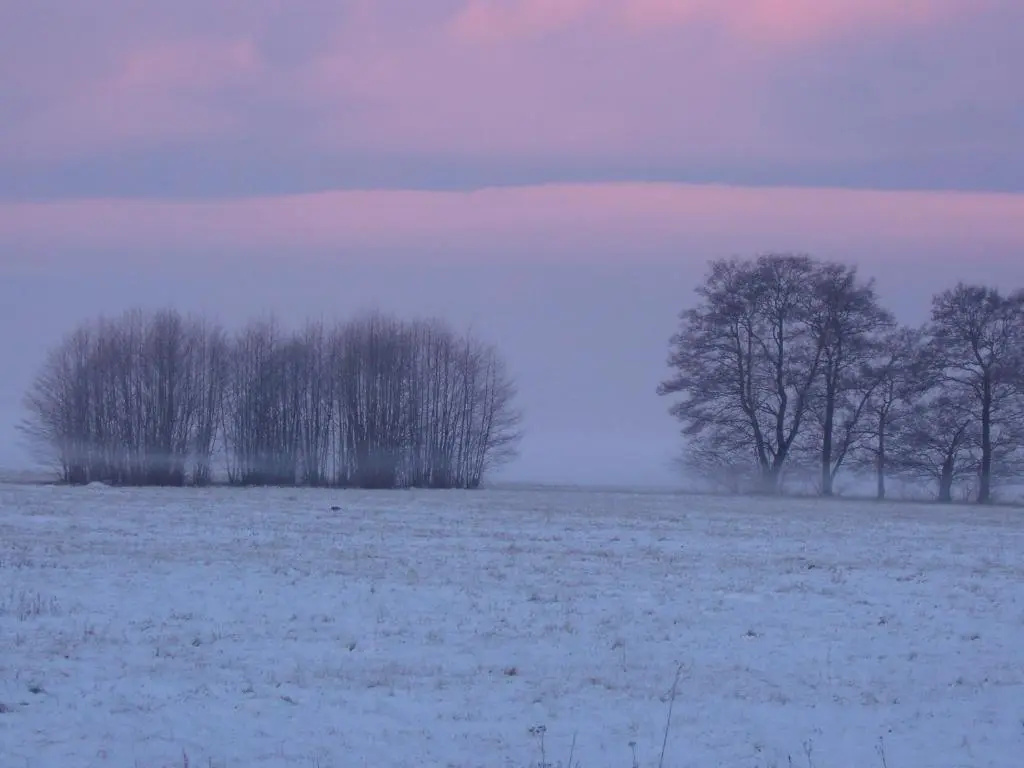 "Ferienwohnungen Wiesenblick"