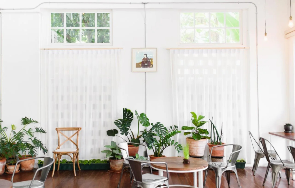 Memmoth Cafe & Hostel in Lampang