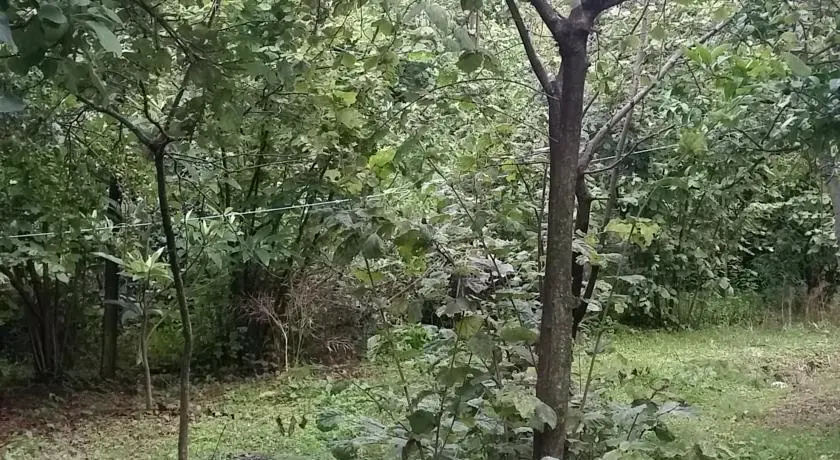 Загородный дом