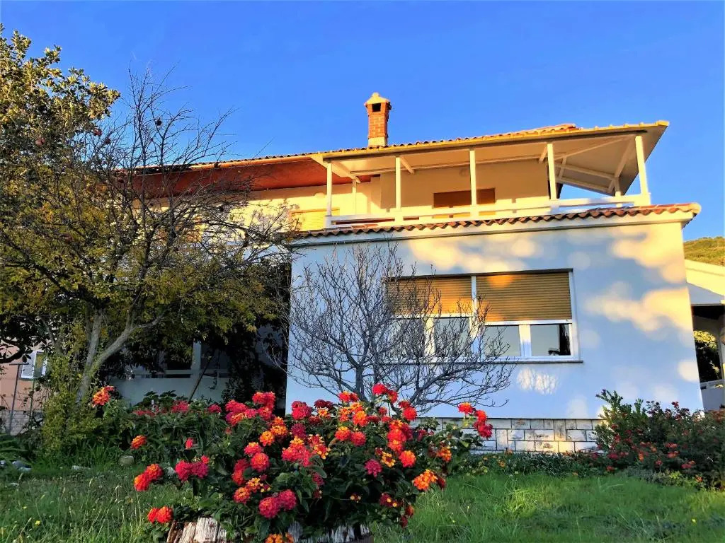 House Draga Accommodation