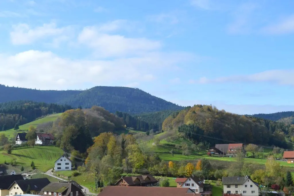 Ferienwohnungen im Herzen des Renchtals