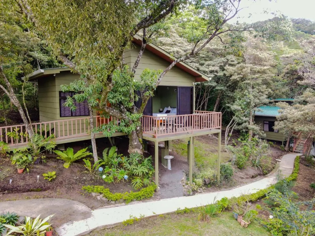 Casas Clusia