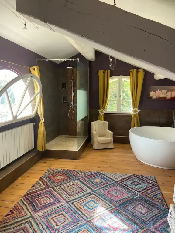 Large Air-conditioned Villa in Arles