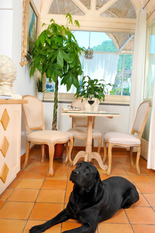 Villa Mary Suites