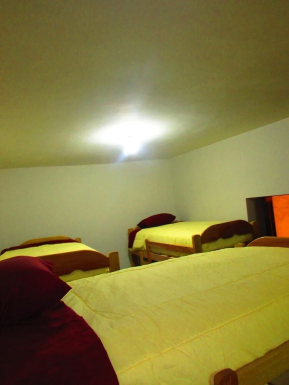 The Grasshopper Hostels AV Alta