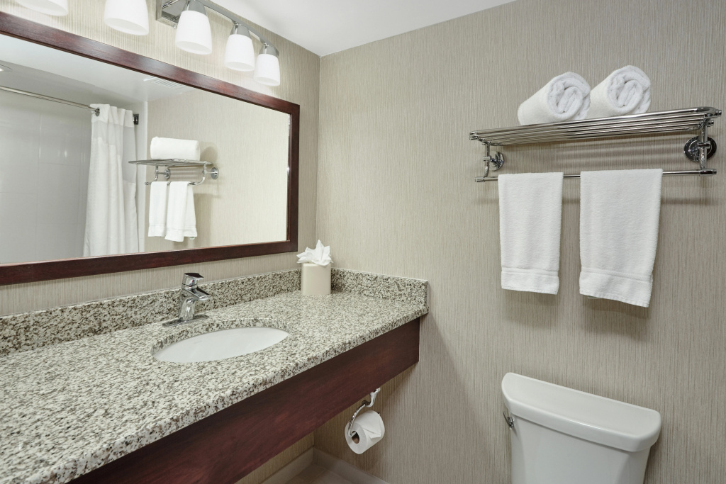 Holiday Inn & Suites Chicago-Carol Stream Wheaton by IHG