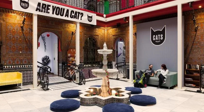 Cats Hostel Madrid Sol