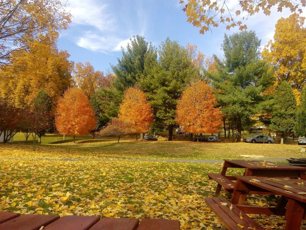 Stony Point Center