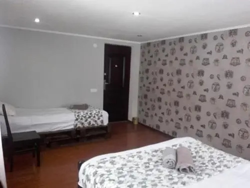 shako mushkudiani guest house