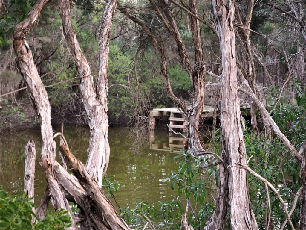 Banksia Park Estate