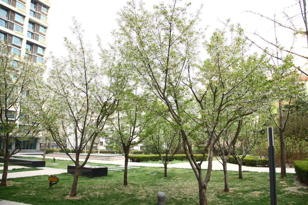 Rich & Young Seasons Park Service Apartment