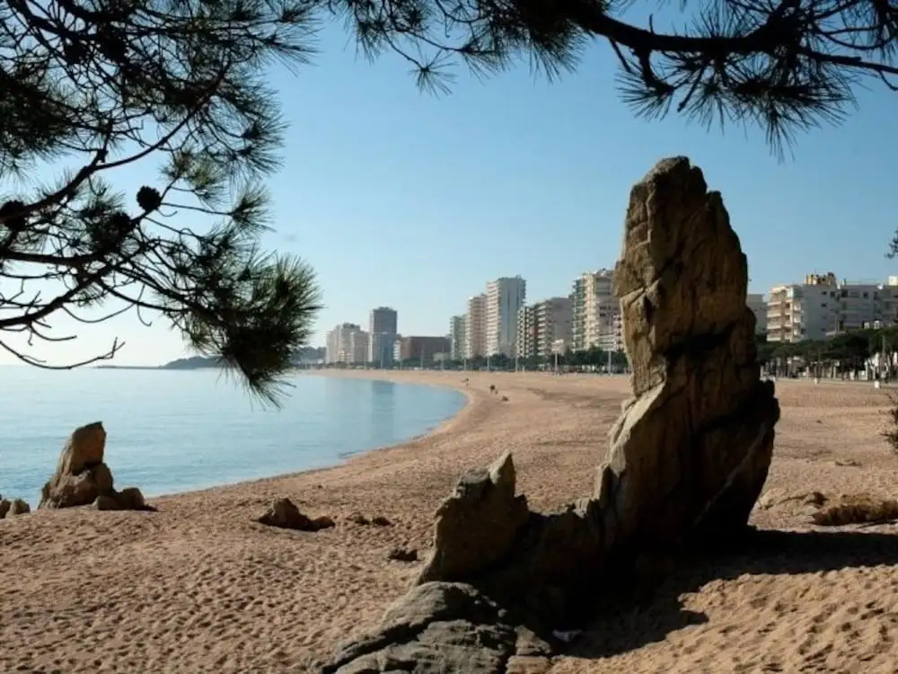 Platja d'Aro planta baixa