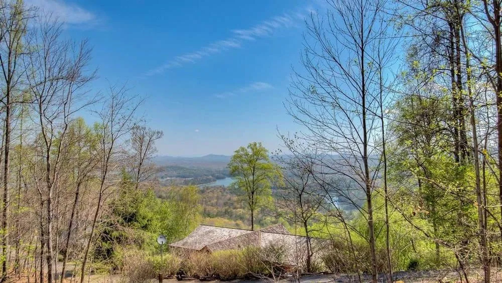 Bent Tree by Escape to Blue Ridge