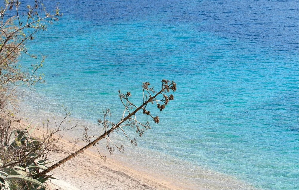 Gorgeous Home In Janjina With Sauna