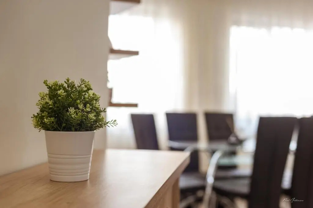 Luxury Desing Apartment