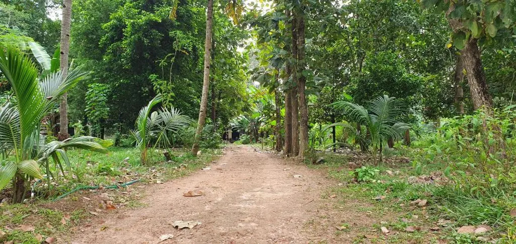 The Paro Homestay Ashtamudi