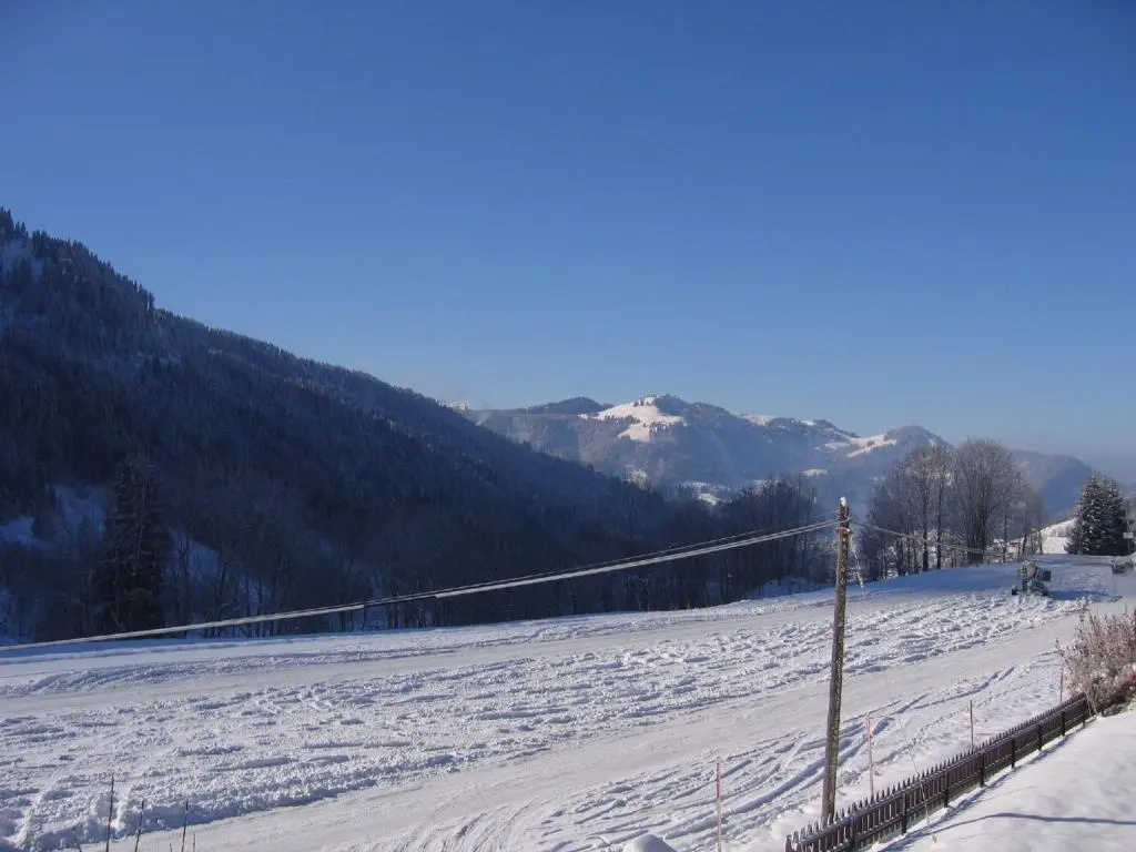 Appartement La Clusaz, 3 pièces, 6 personnes - FR-1-437-1