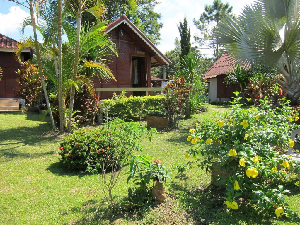 Thai Loei 300 Pi Resort