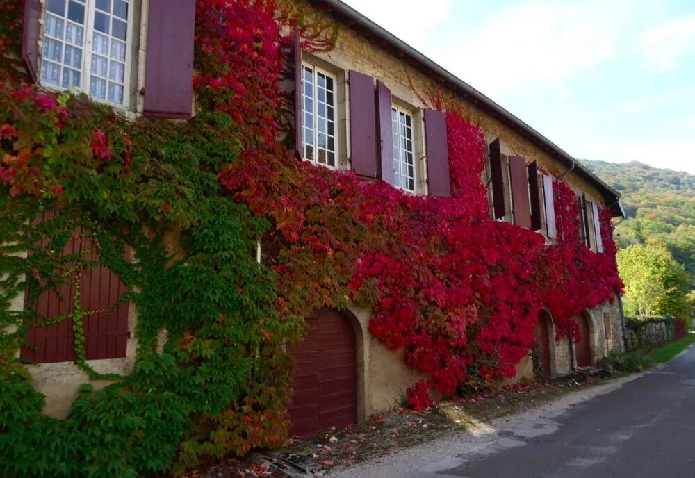 Casa Antolià