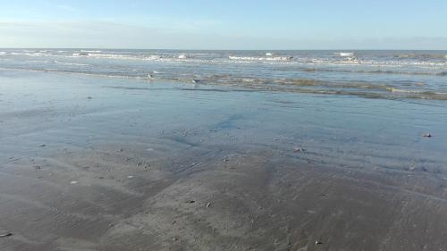 Appartement voor 6 personen in Koksijde met zeezicht