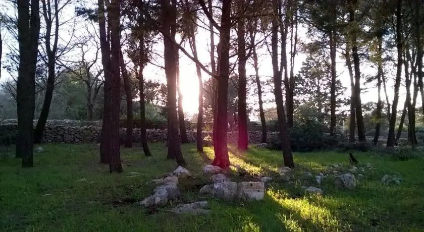 Trullo Sottoleucalipto