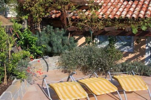Rooms & Apartments Giulia