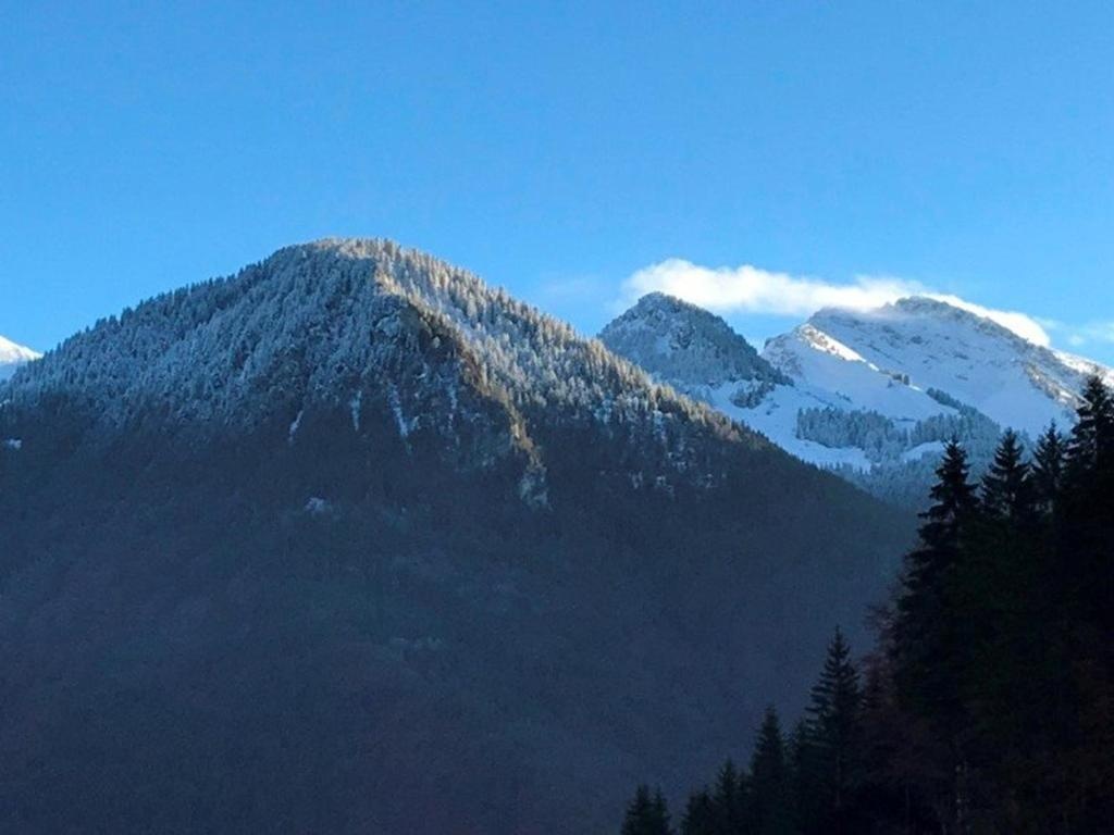 Appartement Saint-Jean-d'Aulps, 3 pièces, 7 personnes - FR-1-573-80