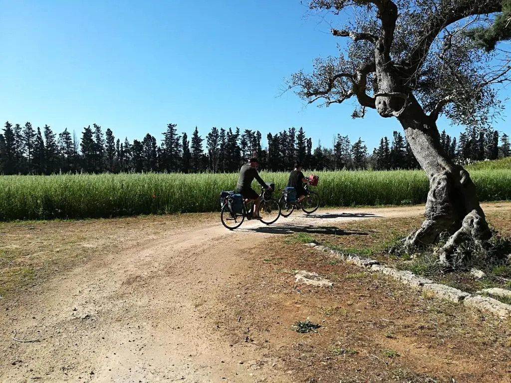 Masseria Fracchicchi