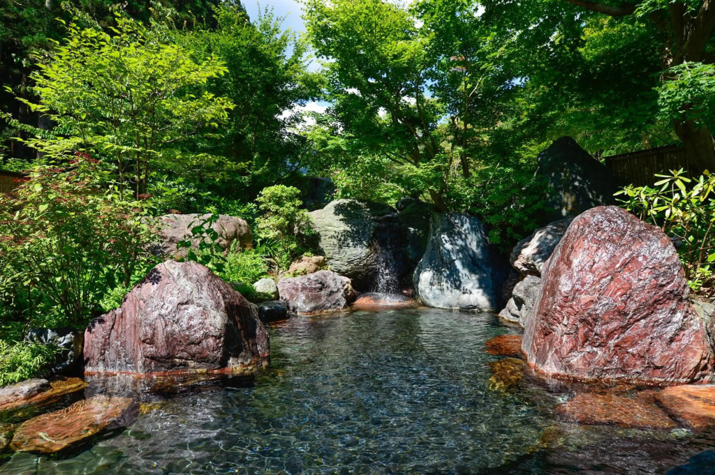 Houshi Onsen Chojukan