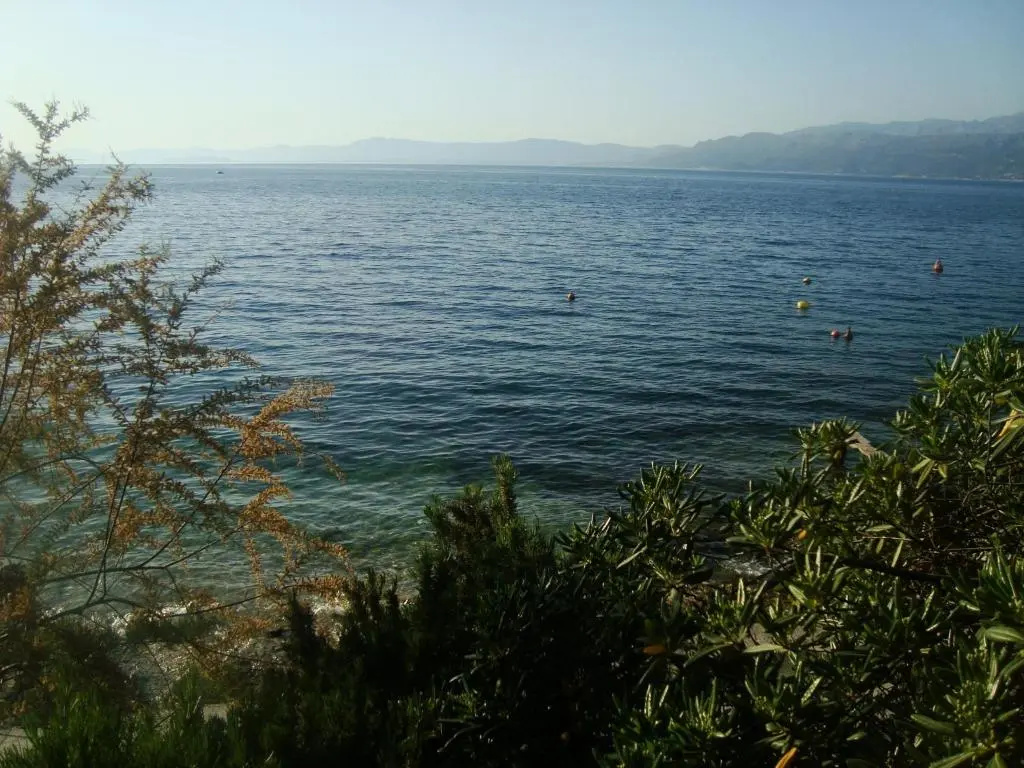 Apartments Davor