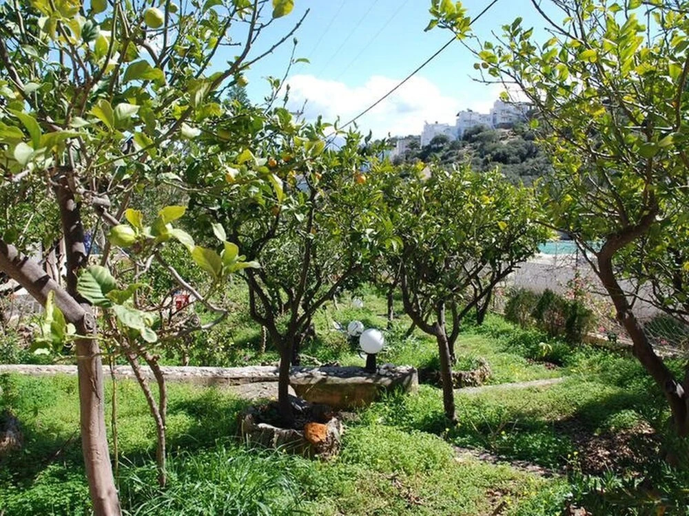 Quiet Place With Efflorescent Garden