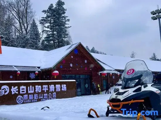 YUNDINGLINSHU