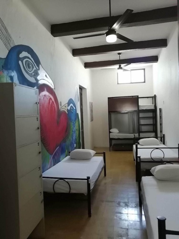 Siesta Fiesta Hostel