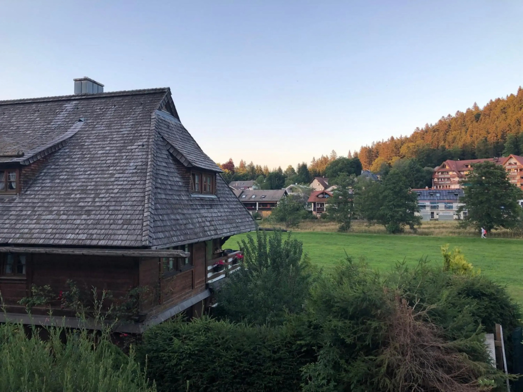 Ferienhaus Lickert Ferienwohnung Süd Feldberg