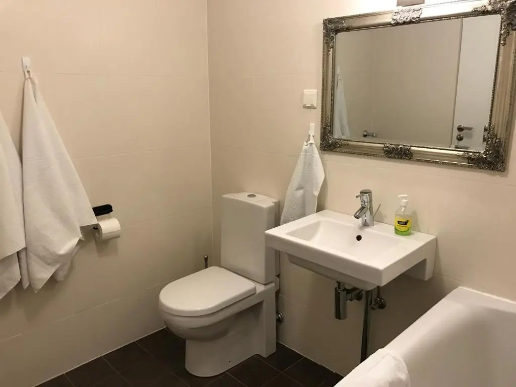 Roseni City Apartment