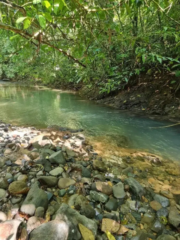 Cool Waters Jungle Villas